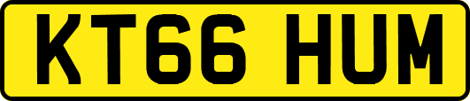 KT66HUM