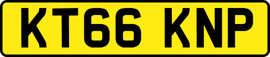 KT66KNP
