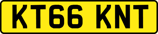 KT66KNT