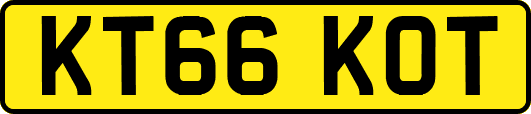 KT66KOT