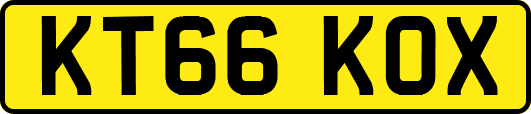 KT66KOX