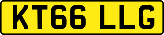 KT66LLG