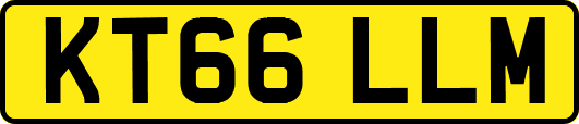 KT66LLM