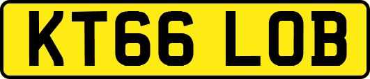 KT66LOB