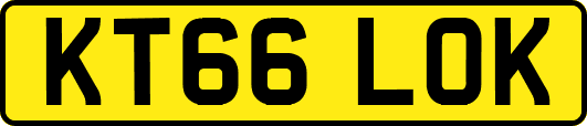 KT66LOK