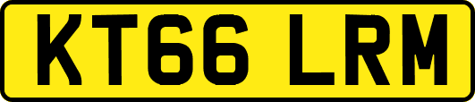 KT66LRM
