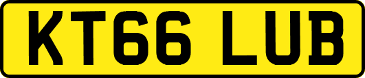 KT66LUB