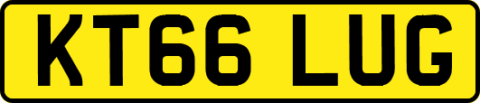 KT66LUG