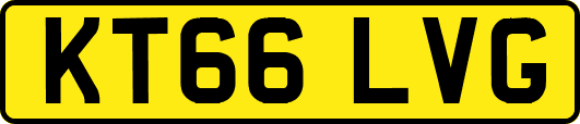 KT66LVG