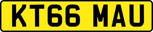 KT66MAU