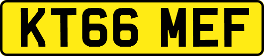 KT66MEF