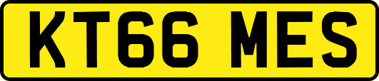 KT66MES