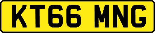 KT66MNG