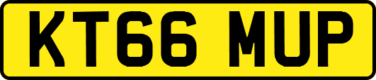 KT66MUP