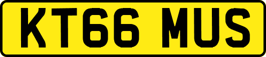 KT66MUS