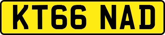 KT66NAD
