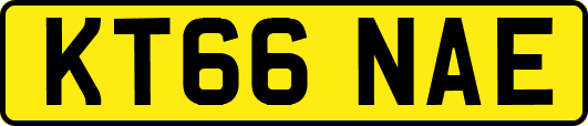 KT66NAE