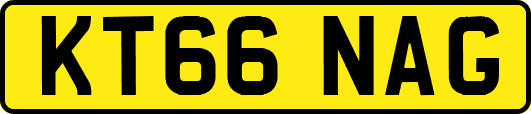 KT66NAG