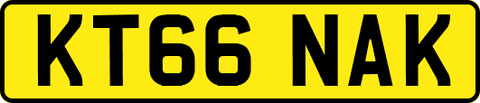 KT66NAK