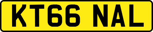 KT66NAL