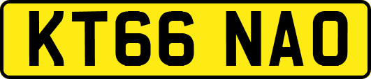 KT66NAO