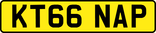 KT66NAP