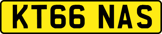 KT66NAS