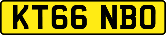 KT66NBO