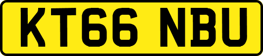 KT66NBU