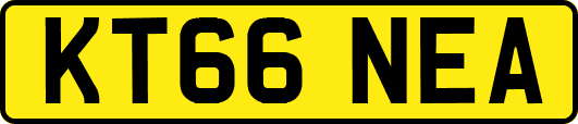 KT66NEA