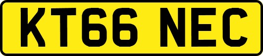 KT66NEC