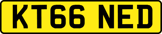 KT66NED