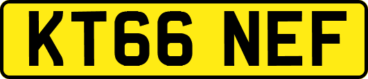 KT66NEF