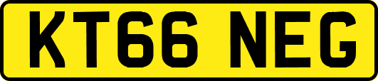 KT66NEG