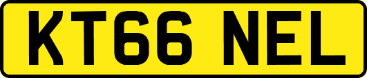 KT66NEL