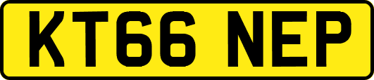 KT66NEP
