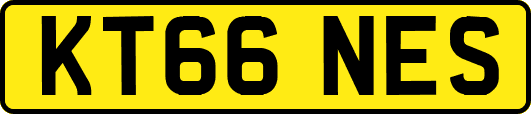 KT66NES