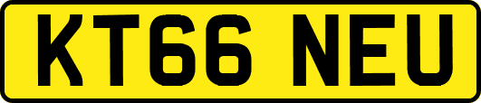 KT66NEU