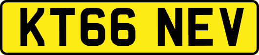 KT66NEV