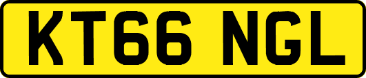 KT66NGL