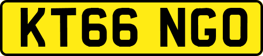 KT66NGO