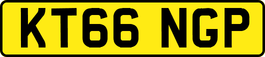 KT66NGP