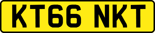 KT66NKT