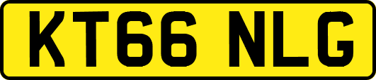 KT66NLG