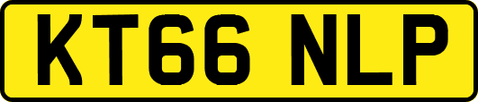 KT66NLP
