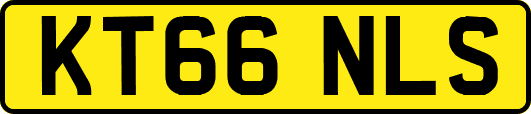 KT66NLS