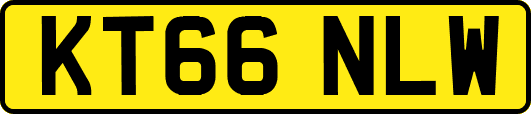 KT66NLW