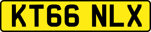 KT66NLX