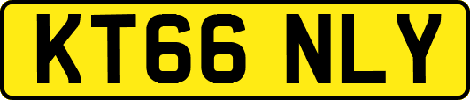 KT66NLY