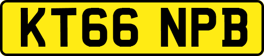 KT66NPB